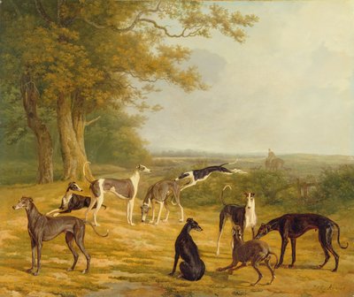 Nove galgos em uma paisagem de Jacques Laurent Agasse